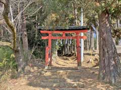 奥田氷川神社鳥居