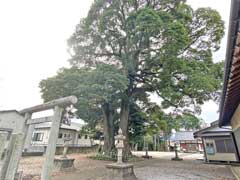 高麗川神社社叢