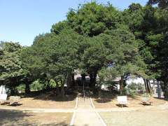 小針新宿稲荷神社外観