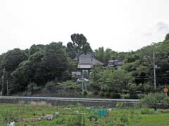 高福寺山容