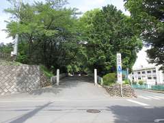 出雲伊波比神社参道