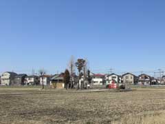 上大増新田香取神社外観