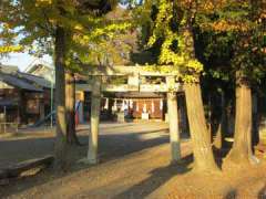 今成熊野神社鳥居