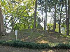 仙波氷川神社境内塚