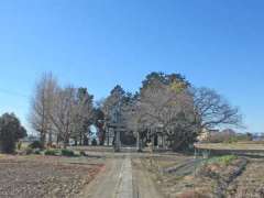 南田島氷川神社の杜