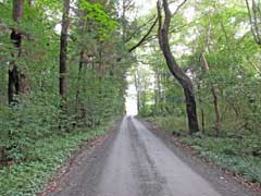 大堀山館跡の面している道