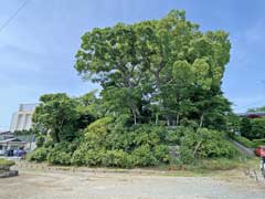 川越城富士見櫓跡地