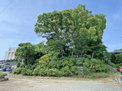 川越城富士見櫓跡地