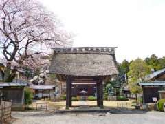 金剛寺山門