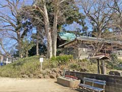 赤山日枝神社本殿と鎮座地