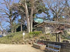 赤山陣屋内だった赤山日枝神社