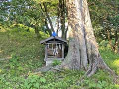 吹塚氷川神社境内社御嶽社