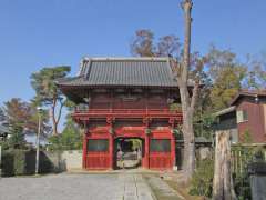 龍蔵寺山門