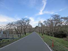 石戸城跡