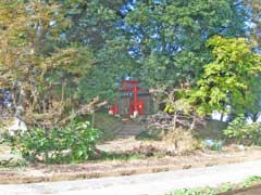 勝丸稲荷神社社叢