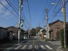 鷲宮神社参道