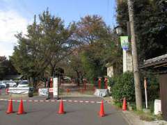 鷲宮神社参道