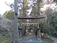 三ケ尻八幡神社鳥居