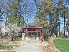 湯殿大神社（奈良新田）鳥居