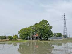 上広島稲荷神社社叢