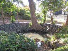 妙典寺子安の池