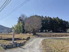 上古寺氷川神社社叢