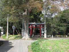 氷川諏訪神社鳥居