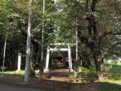 倉田氷川神社鳥居