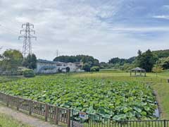 向かい堂沼公園