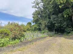 広野八宮神社参道の百庚申塔