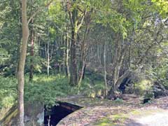 根岸吾妻神社参道