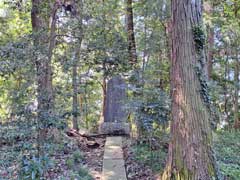 大蔵神社境内社富士浅間神社