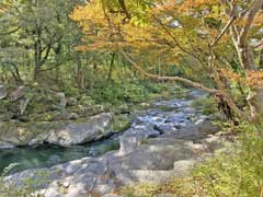 遠山の甌穴群地