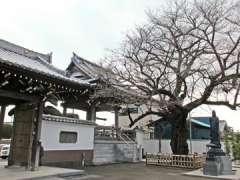 養福寺鐘楼