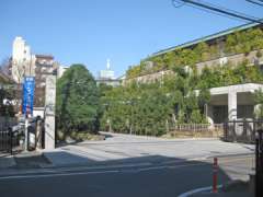 東光寺山門と客殿