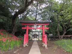 馬込第六天神社鳥居