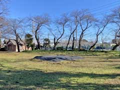 篠岡八幡大神社境内社土俵