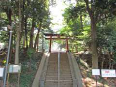 氷川女體神社鳥居