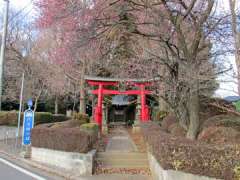 染谷氷川神社鳥居