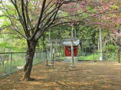 宮前稲荷神社鳥居