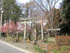 指扇氷川神社鳥居