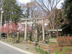 指扇氷川神社鳥居