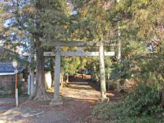 天沼神社鳥居