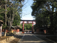 氷川神社鳥居