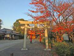 上大久保氷川神社鳥居