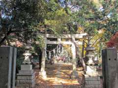 本太氷川神社鳥居