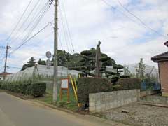 平林寺跡地