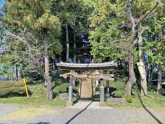 善能寺金比羅神社鳥居