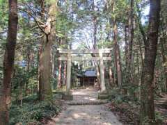 金子神社鳥居