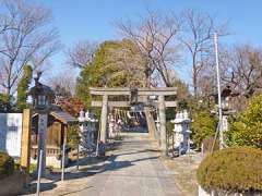 八條八幡神社鳥居